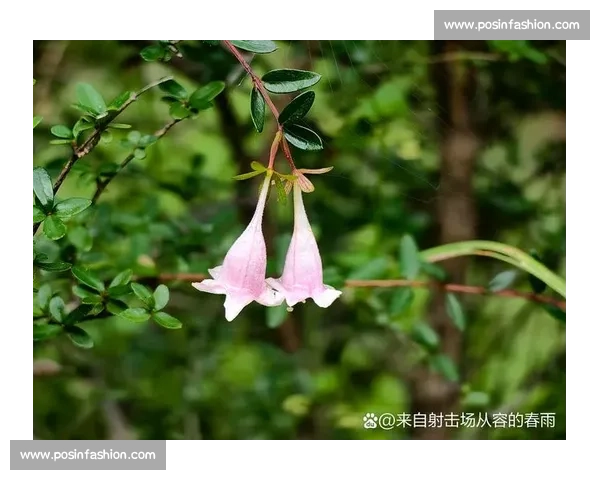 白教视角：滔搏八强之路，每一秒都攥心